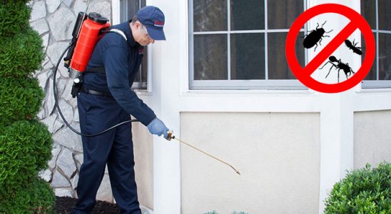 Sulusaray Karınca İlaçlama böcek ilaçlama ve haşere kontrolü — ilaclama-tr.com